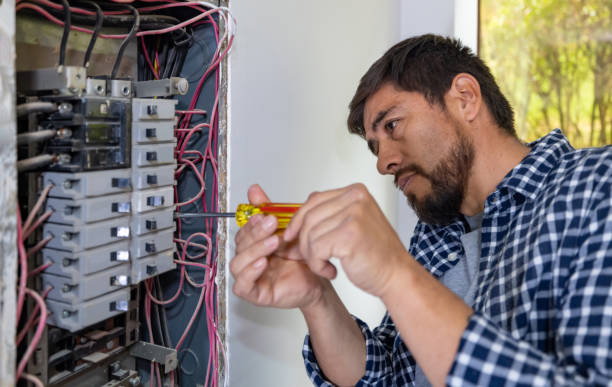 Best Electric Panel Repair  in Watkins Glen, NY